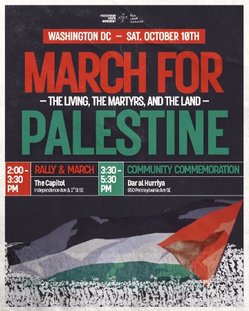 palestine261010